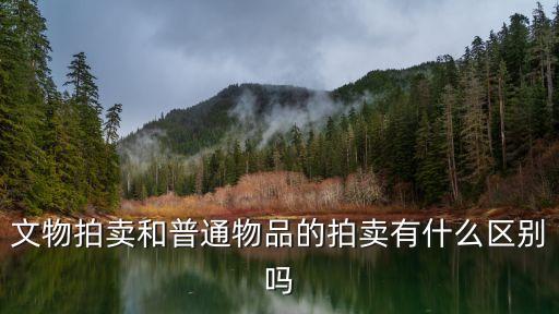 文物拍賣和普通物品的拍賣有什么區(qū)別嗎