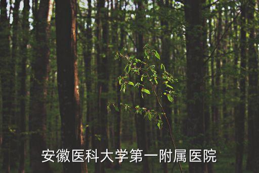 安徽醫(yī)科大學(xué)第一附屬醫(yī)院