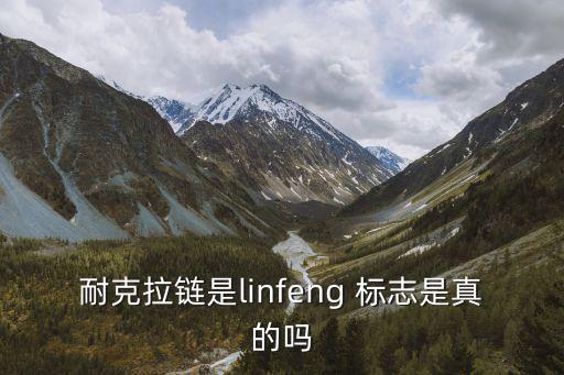耐克拉鏈?zhǔn)莑infeng 標(biāo)志是真的嗎