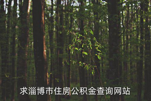求淄博市住房公積金查詢網(wǎng)站
