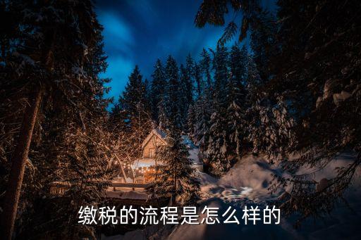 怎么交稅，請問怎么納稅