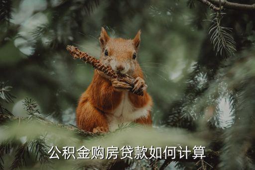 公積金購房貸款如何計(jì)算
