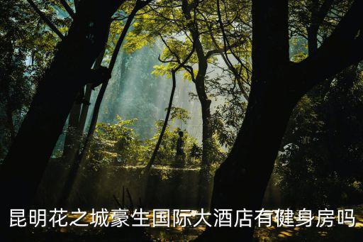 昆明花之城豪生國際大酒店有健身房嗎