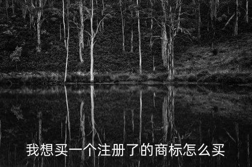 我想買一個(gè)注冊了的商標(biāo)怎么買