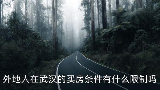 外地人在武漢的買房條件有什么限制嗎