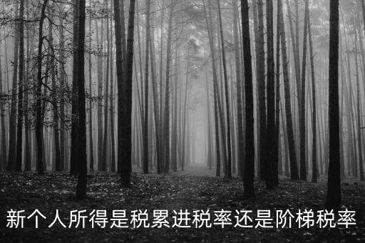 個(gè)人所得稅階梯，新個(gè)人所得是稅累進(jìn)稅率還是階梯稅率