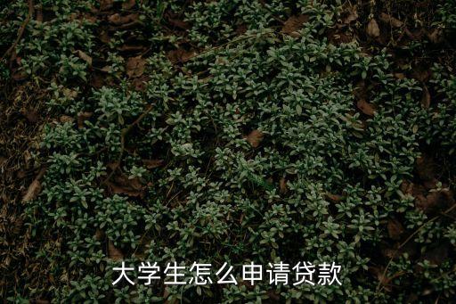 大學(xué)生怎么申請(qǐng)貸款
