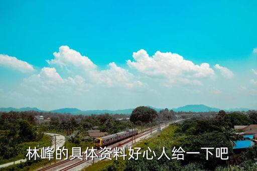 linfeng，耐克拉鏈是linfeng 標志是真的嗎