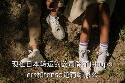現(xiàn)在日本轉(zhuǎn)運(yùn)的公司除了Jshoppers和tenso還有哪家么