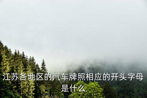 鹽城車牌號字母，鹽城市亭湖區(qū)車牌字母一般什么