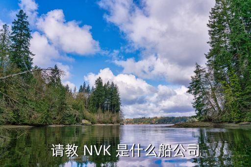 請(qǐng)教 NVK 是什么船公司