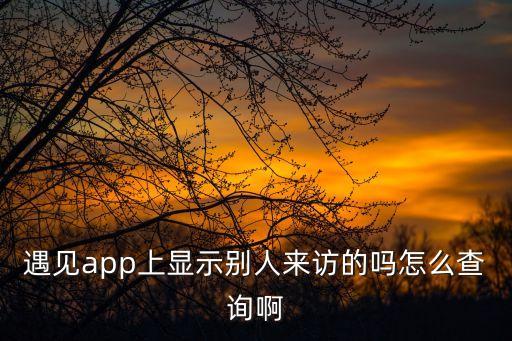 遇見app上顯示別人來訪的嗎怎么查詢啊