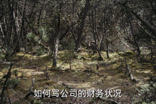 如何寫公司的財務狀況