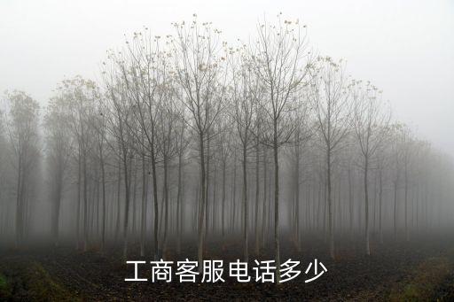 工商客服電話多少