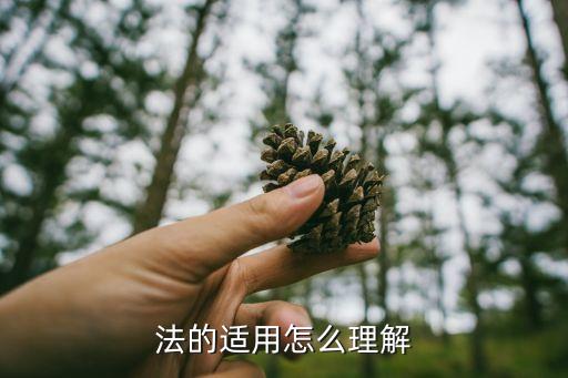 法的適用，法的適用的主體只能是國家 及其