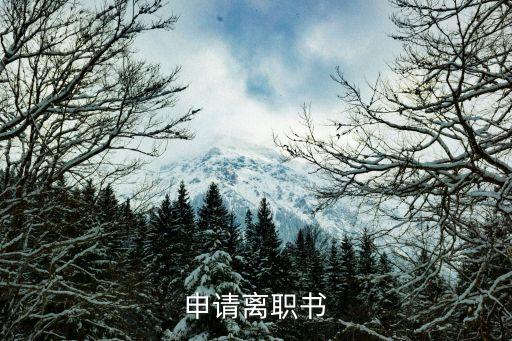 申請(qǐng)離職書(shū)