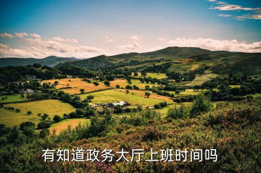 行政服務(wù)中心上班時(shí)間，有知道政務(wù)大廳上班時(shí)間嗎