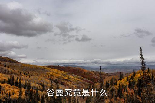 谷盟，什么是谷丙有什么危害