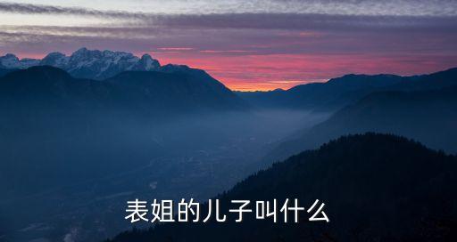 表姐的兒子，表姐的兒子叫什么
