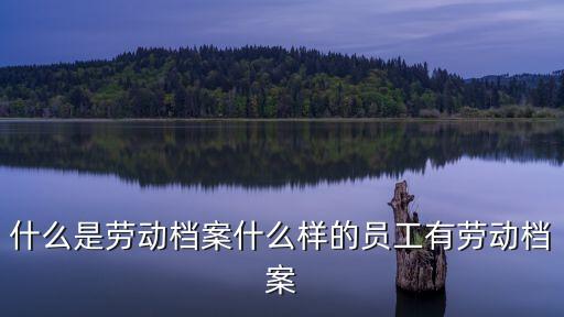 什么是勞動(dòng)檔案什么樣的員工有勞動(dòng)檔案