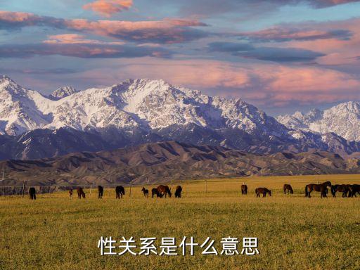 性關(guān)系是什么意思