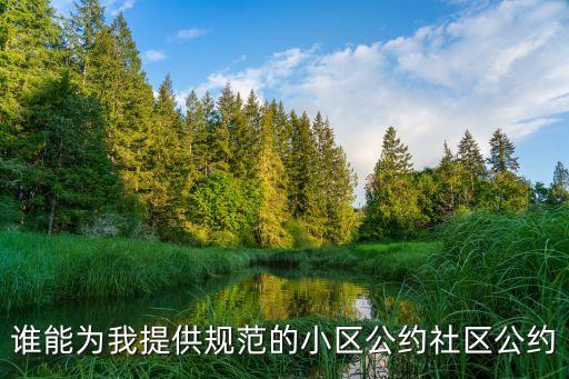 誰能為我提供規(guī)范的小區(qū)公約社區(qū)公約
