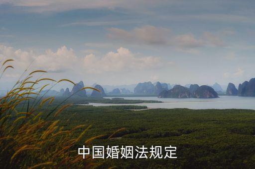 中國(guó)婚姻法規(guī)定