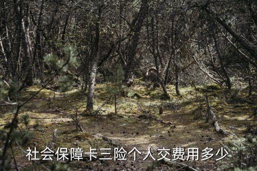 三險一年交多少錢，三險得交多少錢