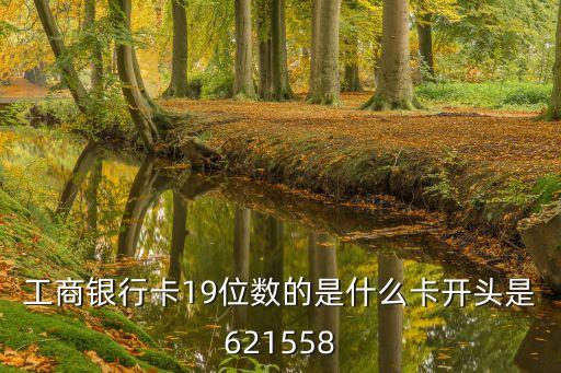 工商銀行卡19位數(shù)的是什么卡開(kāi)頭是621558