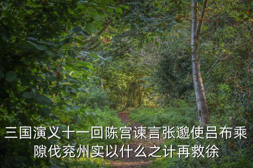 三國演義十一回陳宮諫言張邈使呂布乘隙伐兗州實以什么之計再救徐