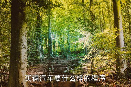 購(gòu)車(chē)流程，買(mǎi)車(chē)的步驟是哪些