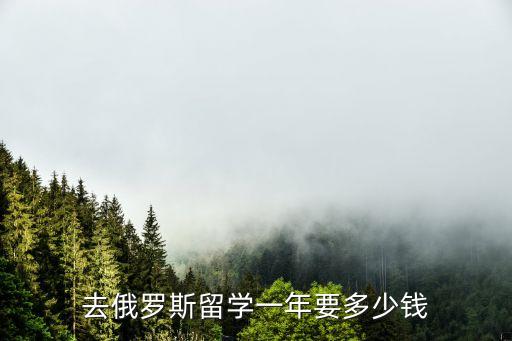 俄羅斯留學一年費用，有誰知道去俄羅斯留學的一年費用啊