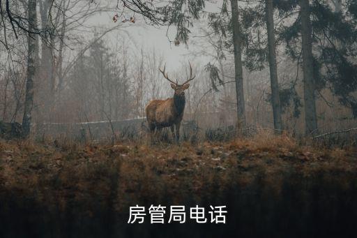 房管局咨詢電話，誰知道昆明市房管局地址電話