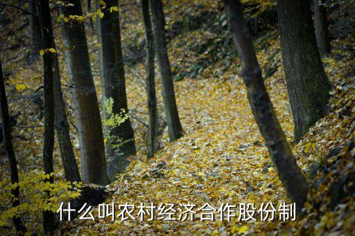 村股份經(jīng)濟(jì)合作社，什么叫農(nóng)村經(jīng)濟(jì)合作股份制