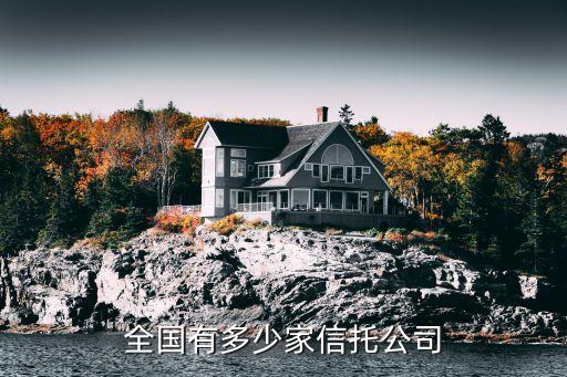 信托機構(gòu)，國內(nèi)最大的信托公司是哪一家