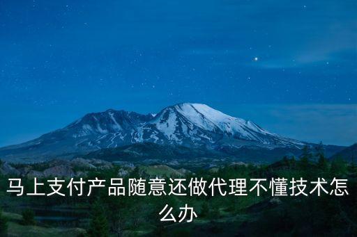 馬上支付產(chǎn)品隨意還做代理不懂技術(shù)怎么辦