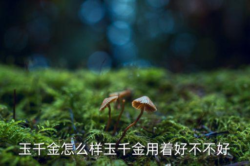 玉千金，玉千金怎么樣玉千金用著好不不好