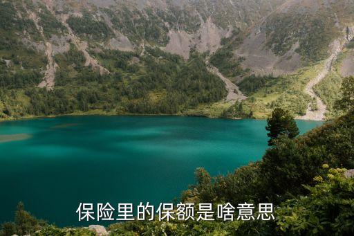 保額是什么意思，保險里的保額是啥意思