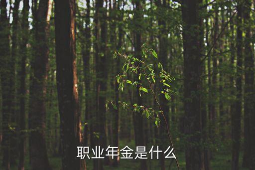 職業(yè)年金，什么是職業(yè)年金