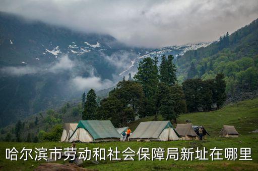哈爾濱人社，哈爾濱人力資源和社會保障局具體位置在哪兒自己拿著用人單位