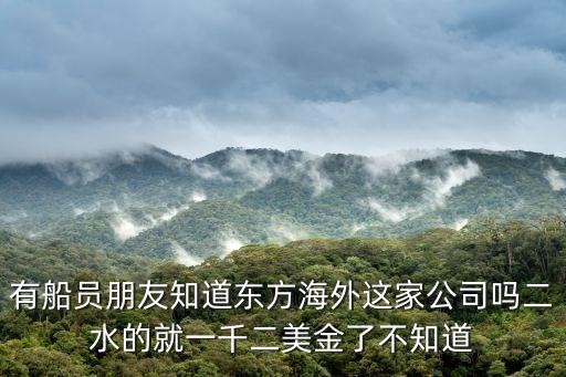 東方海外，東方海外優(yōu)點不足東方海外怎么樣東方