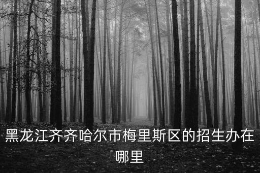 黑龍江齊齊哈爾市梅里斯區(qū)的招生辦在哪里
