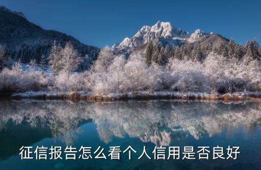 個(gè)人查詢，個(gè)人征信網(wǎng)上查詢?cè)趺床樾庞醚胄姓餍胖行牟樵?/></a></span><span id=