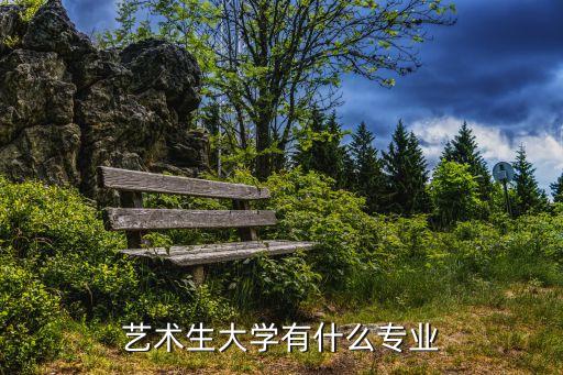 藝術(shù)生大學(xué)有什么專業(yè)