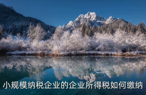 小規(guī)模納稅企業(yè)的企業(yè)所得稅如何繳納