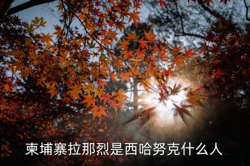 柬埔寨拉那烈是西哈努克什么人