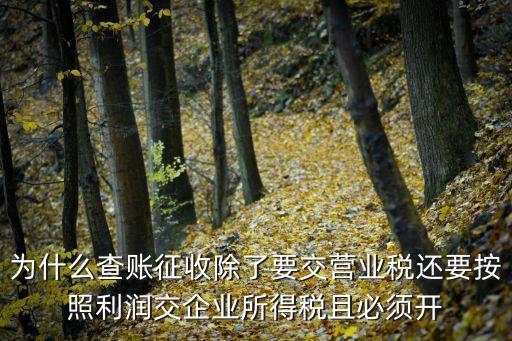 成本票是什么意思，小規(guī)模納稅人只有收入?yún)s沒有成本票這會理嗎