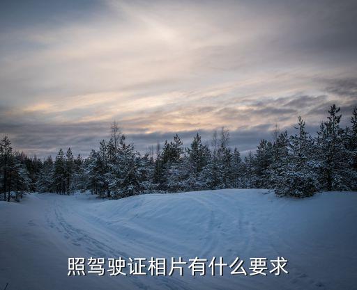 照駕駛證相片有什么要求