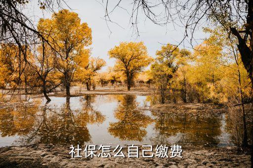 居民社保怎么交，我是一個城鎮(zhèn)居民沒有工作怎樣交社會保險