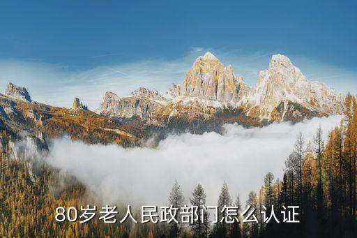老年人認(rèn)證，衡水市阜城縣霞口鎮(zhèn)六十周歲的老人認(rèn)證碼怎么操作